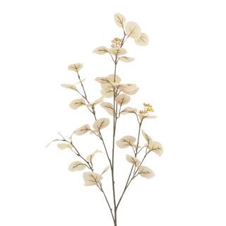 Cream Seed Eucalyptus Stem by Ashland® | Michaels | Michaels Stores