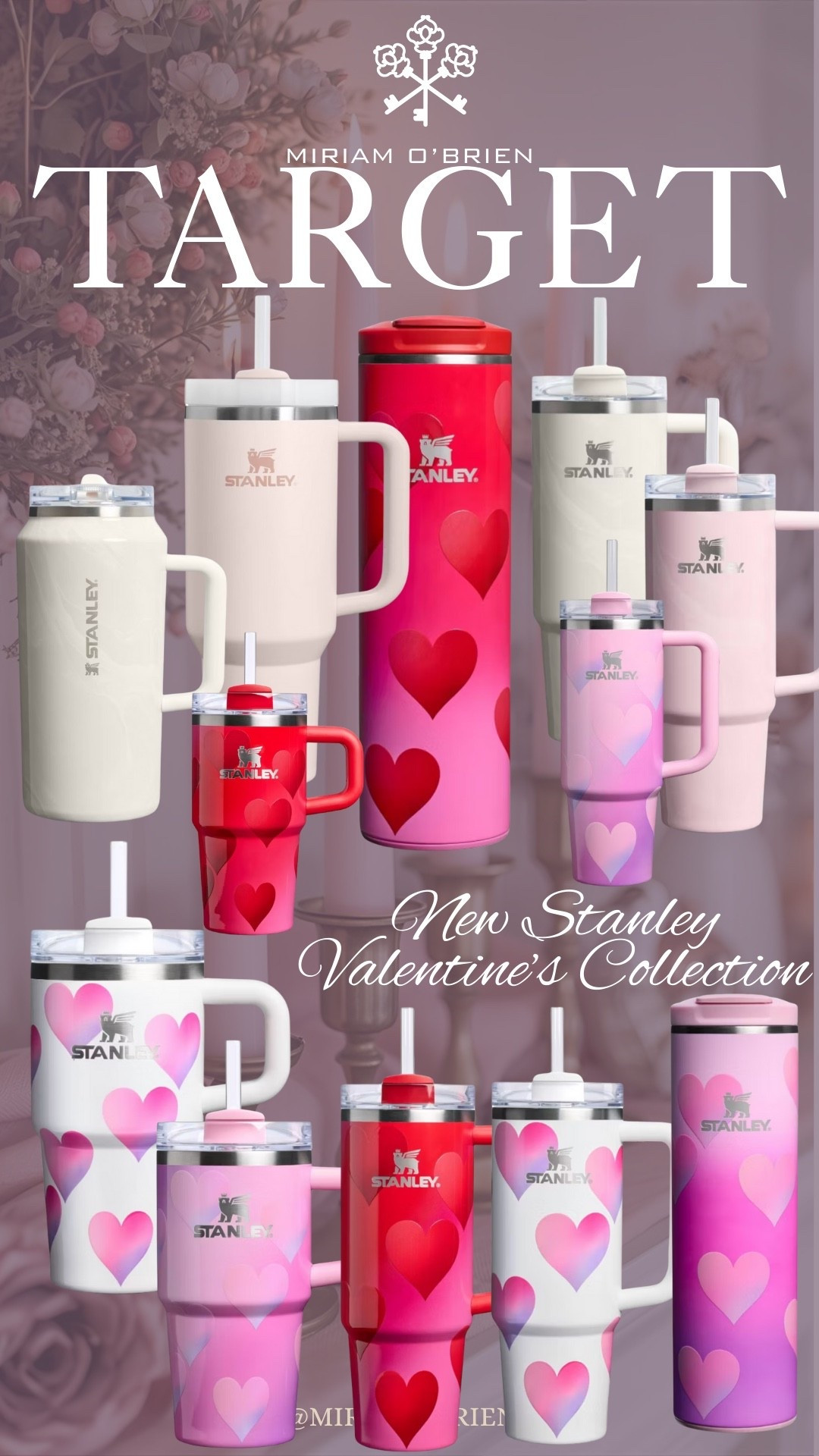 New Stanley Valentine’s collection at Target!!!

#StanleyValentinesCollection #TargetFines #ValentinesGift #TargetValentineGift

#LTKSeasonal #LTKOver40 #LTKActive

#LTKActive #LTKSeasonal #LTKOver40