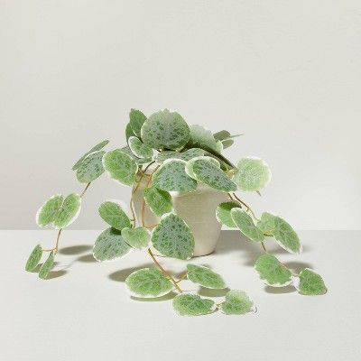 7.5" Mini Faux Variegated String of Hearts Plant - Hearth & Hand™ with Magnolia | Target