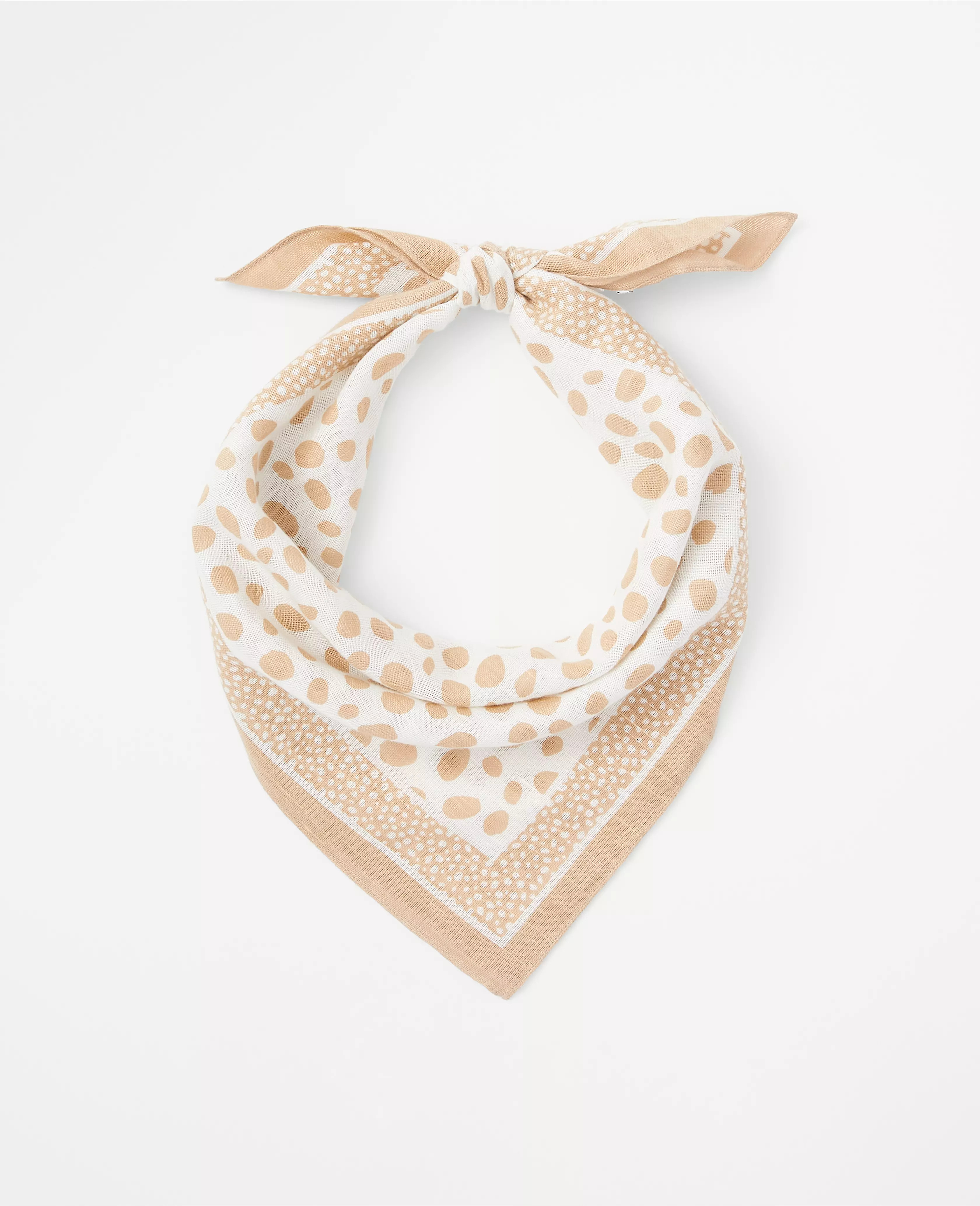 Weekend Animal Print Scarf | Ann Taylor