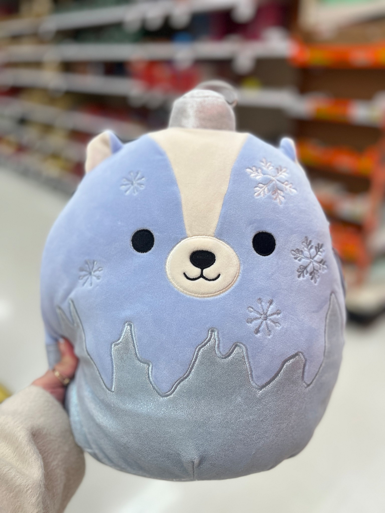 Squishmallows 12" Miles Teal Dragon Ornament with Frosted Bottom Medium Plush

#LTKSaleAlert #LTKGiftGuide #LTKKids