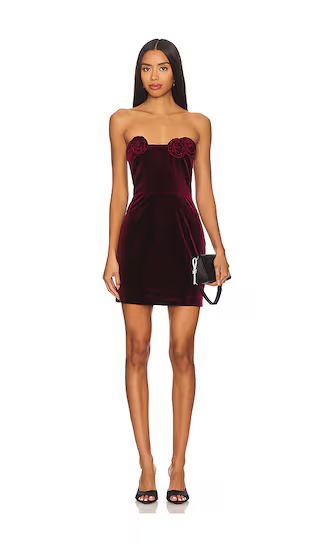 Sabine Mini Dress in Burgundy | Revolve Clothing (Global)