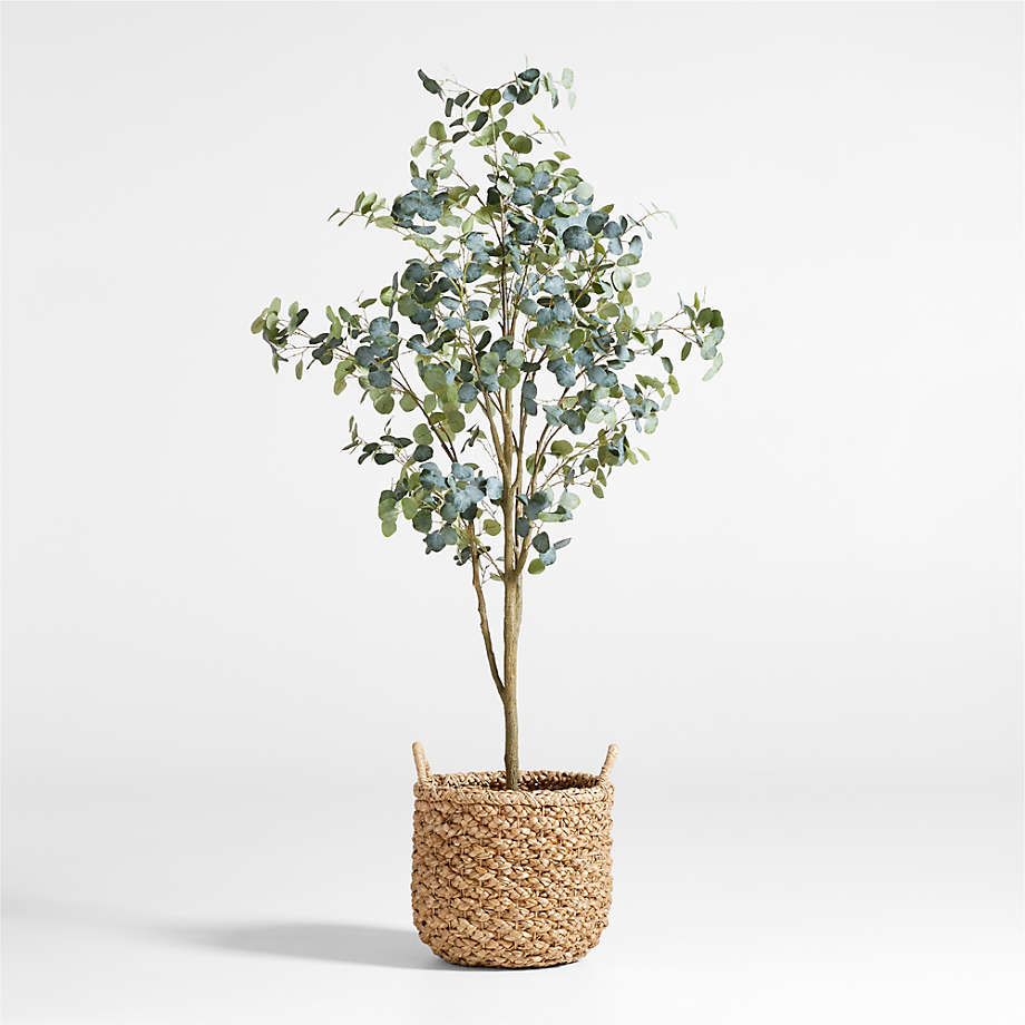 Faux Silver Dollar Eucalyptus Tree 8' | Crate & Barrel