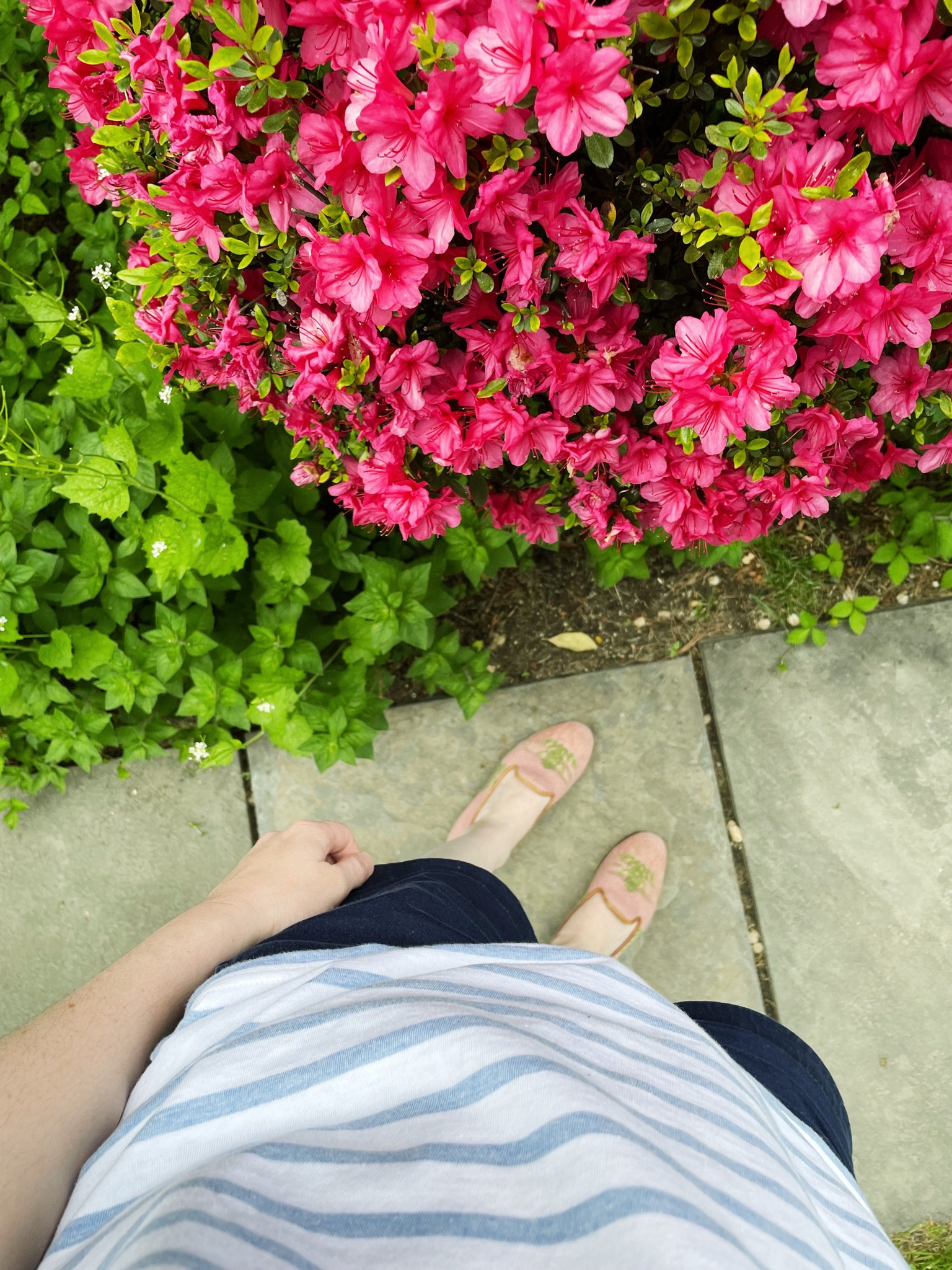 Think pink!

#LTKfit #LTKshoecrush #LTKSeasonal