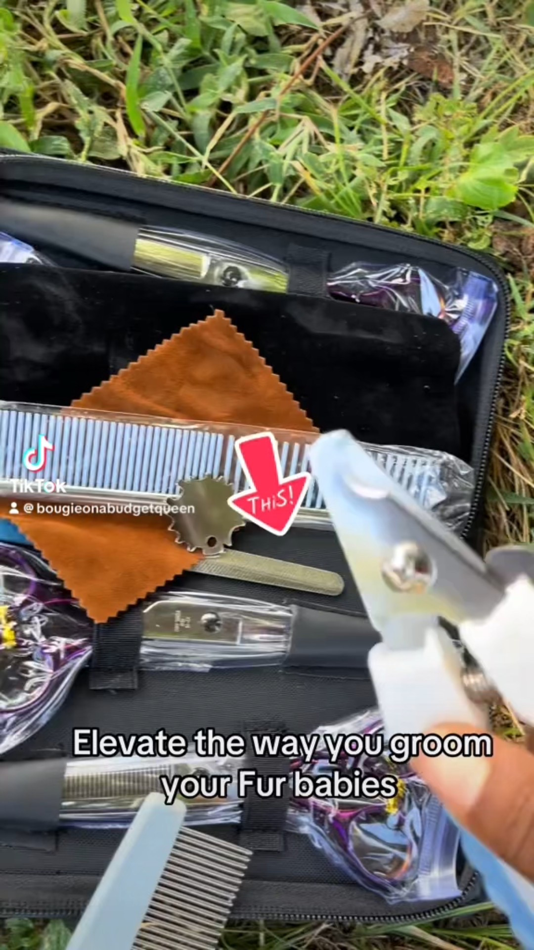 I have partnered with YUJINXI with Dog Grooming Scissors set,Professional 6 in 1 Pet Grooming Scissors Curved Shears for Dog,Thinning Pet Grooming Shears,Chunkers Scissors and Comb Sharp Silver Pet Grooming Scissors

#LTKHome #LTKSeasonal #LTKFallSale