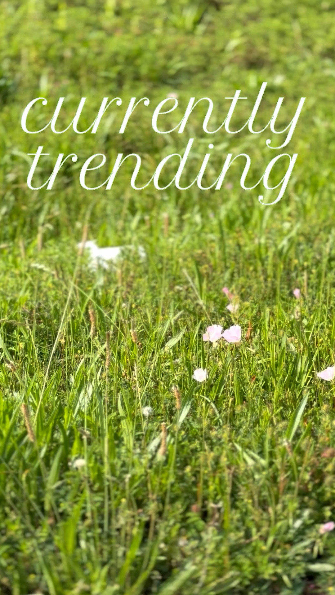 Linking some fun trends I’m loving right now! ……………… striped tote striped bag striped purse workout tank workout look gym look gym outfit maxi dress midi dress smocked dress sunglasses 90s glasses press on nails olive & June nails beauty favorites running shorts sports bra wide leg jeans buttery shirt butter tee butter core tee denim dress denim shirt anthropologie finds anthropologie new arrivals gingham shorts gingham tank gingham set accent chair red lamp red chair gold lamp green lamp charging decor free people dupe woven bag shoulder bag aerie finds target new arrivals buckle sandals Birkenstock dupes woven flats ballet flats summer trends spring trends summer nails spring nails graduation outfit graudation dress  

 #LTKActive #LTKOver40 #LTKBeauty