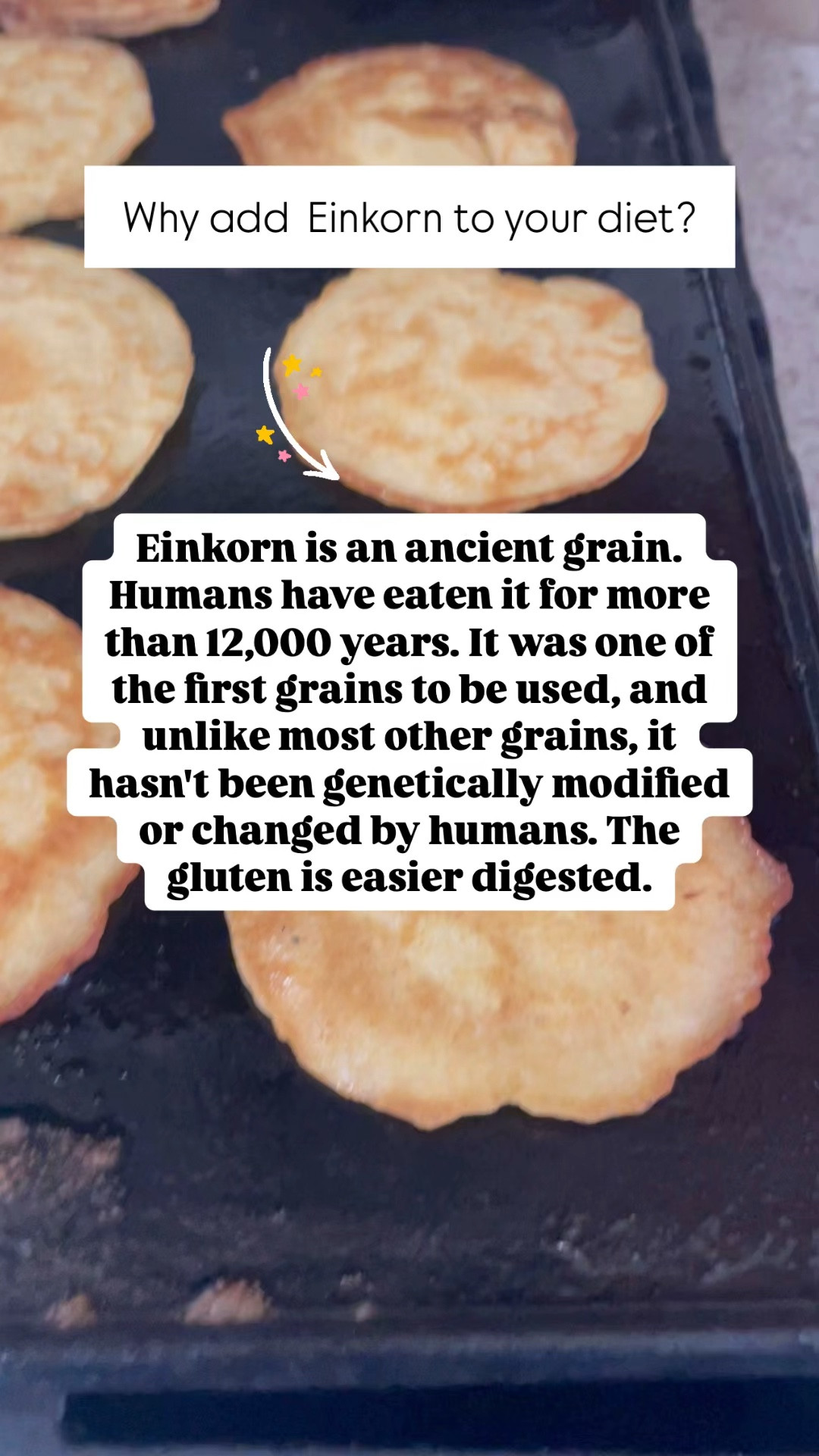 Non toxic PANCAKE🥞 Guide  

#LTKHome #LTKGiftGuide #LTKCyberWeek