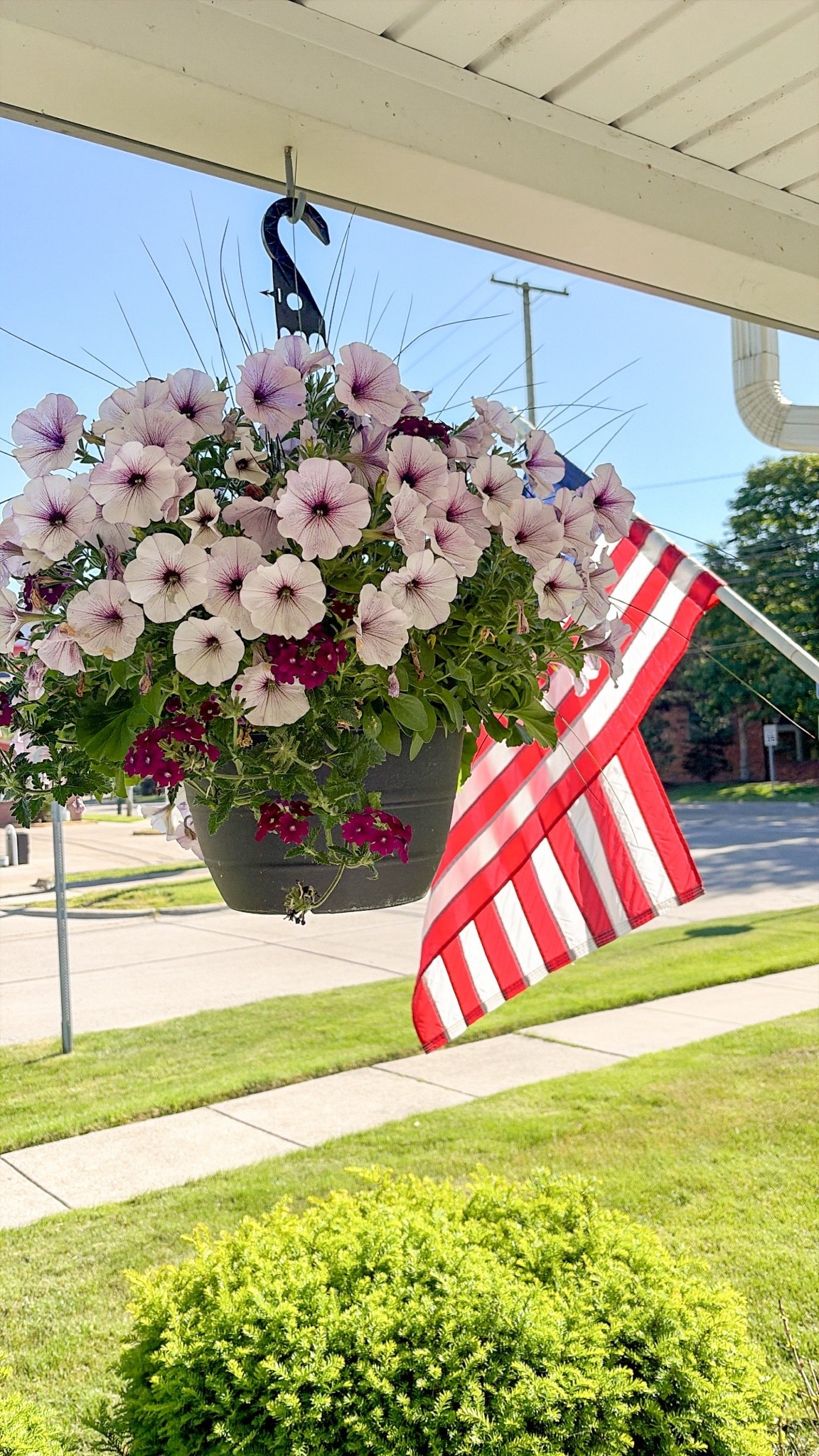 Nothing says summer quite like a porch full of blooms and an American flag waving in the breeze. ❤️🤍💙

If you’re looking to add a little patriotic charm to your front porch this season, this flag is such an easy way to make your home feel warm, welcoming, and timeless.

#LTKHome #PatrioticDecor #SummerPorch #FrontPorchDecor #AmericanFlag #HomeInspiration #PorchGoals #SummerDecor

#LTKSeasonal #LTKHome #LTKSaleAlert