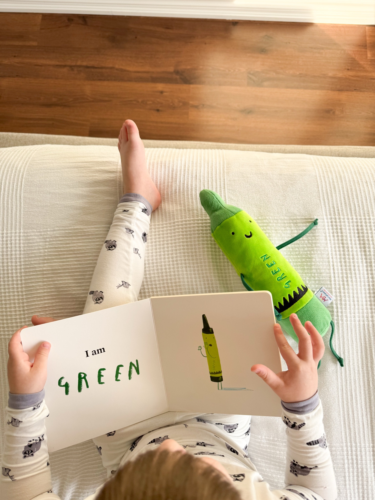 The Day The Crayons Quit | Green Crayon Plush 💚 Drew Daywalt and Oliver Jeffers’s books 📗

(#books #toddler #toddlertoys #plush #toddlerfinds #kids #kidstoys )

#LTKBaby #LTKFamily #LTKKids