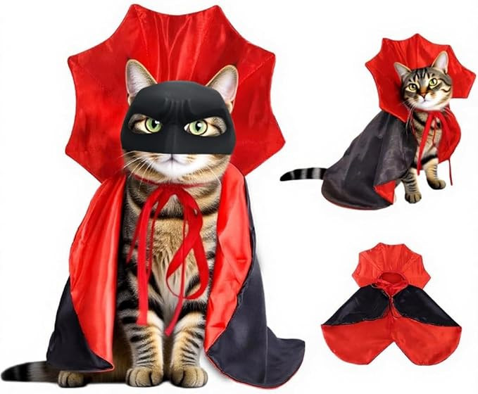 Cat Halloween Costumes, Black Cat Bat Mask with Vampire Cloak, Witch Cosplay Apparel,Party Costum... | Amazon (US)