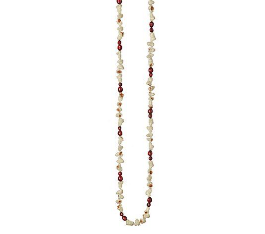 Berry, Popcorn Garland 9' by Valerie | QVC