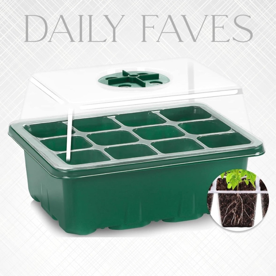 Seed starting kits!

#LTKkids #LTKfamily