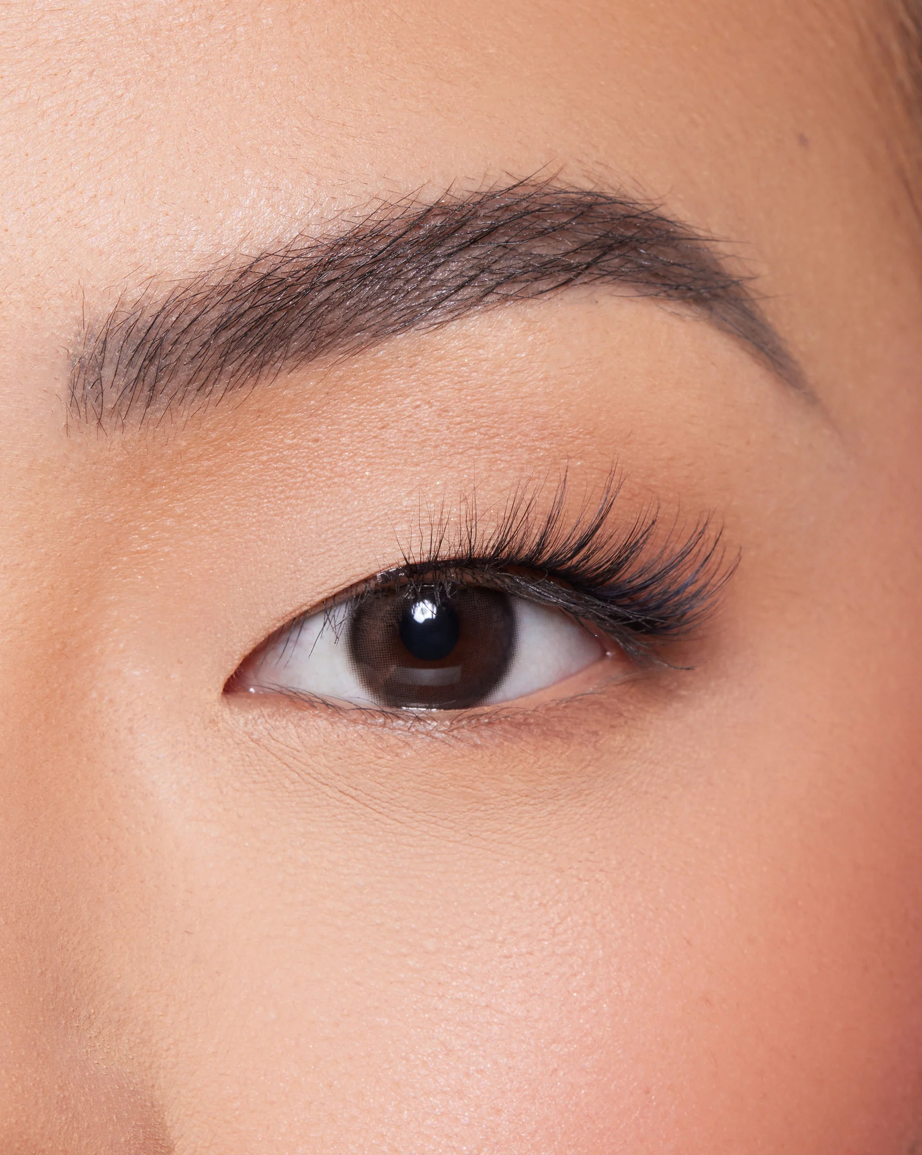 Enticing Half Lash | Lilly Lashes