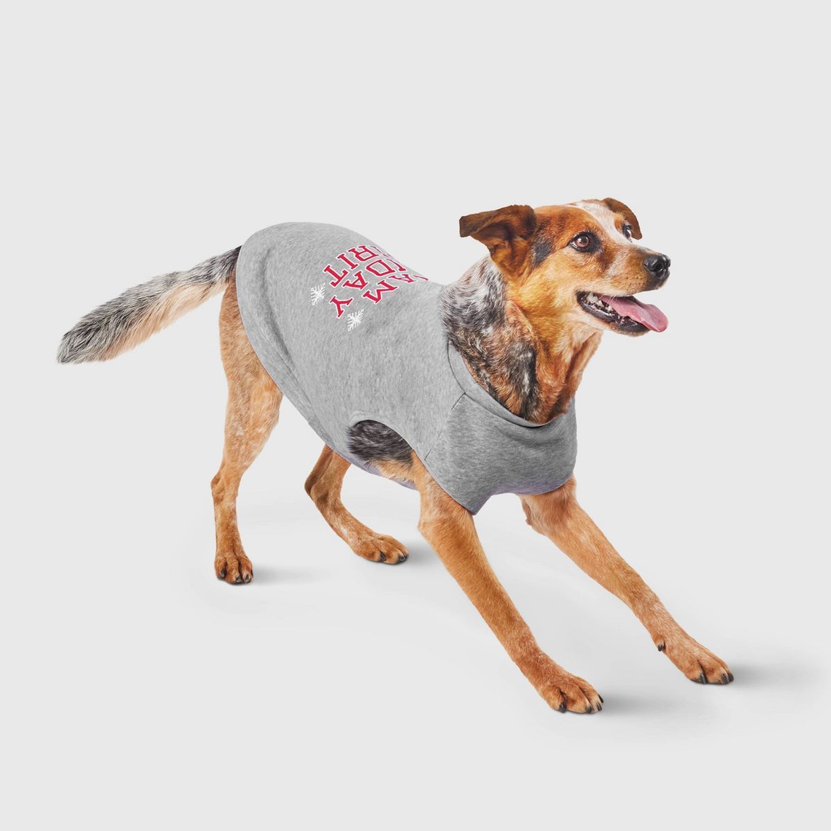Team Holiday Spirit Matching Family Dog Sweatshirt - Wondershop™ - Gray | Target