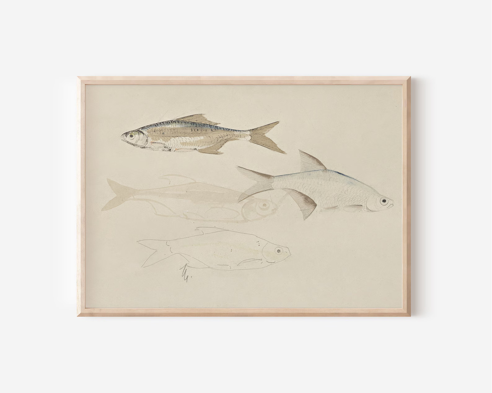 Vintage Fish Sketch Fish Painting Downloadable Art PRINTABLE PRINTABLE Wall Art Digital Prints Fa... | Etsy (US)
