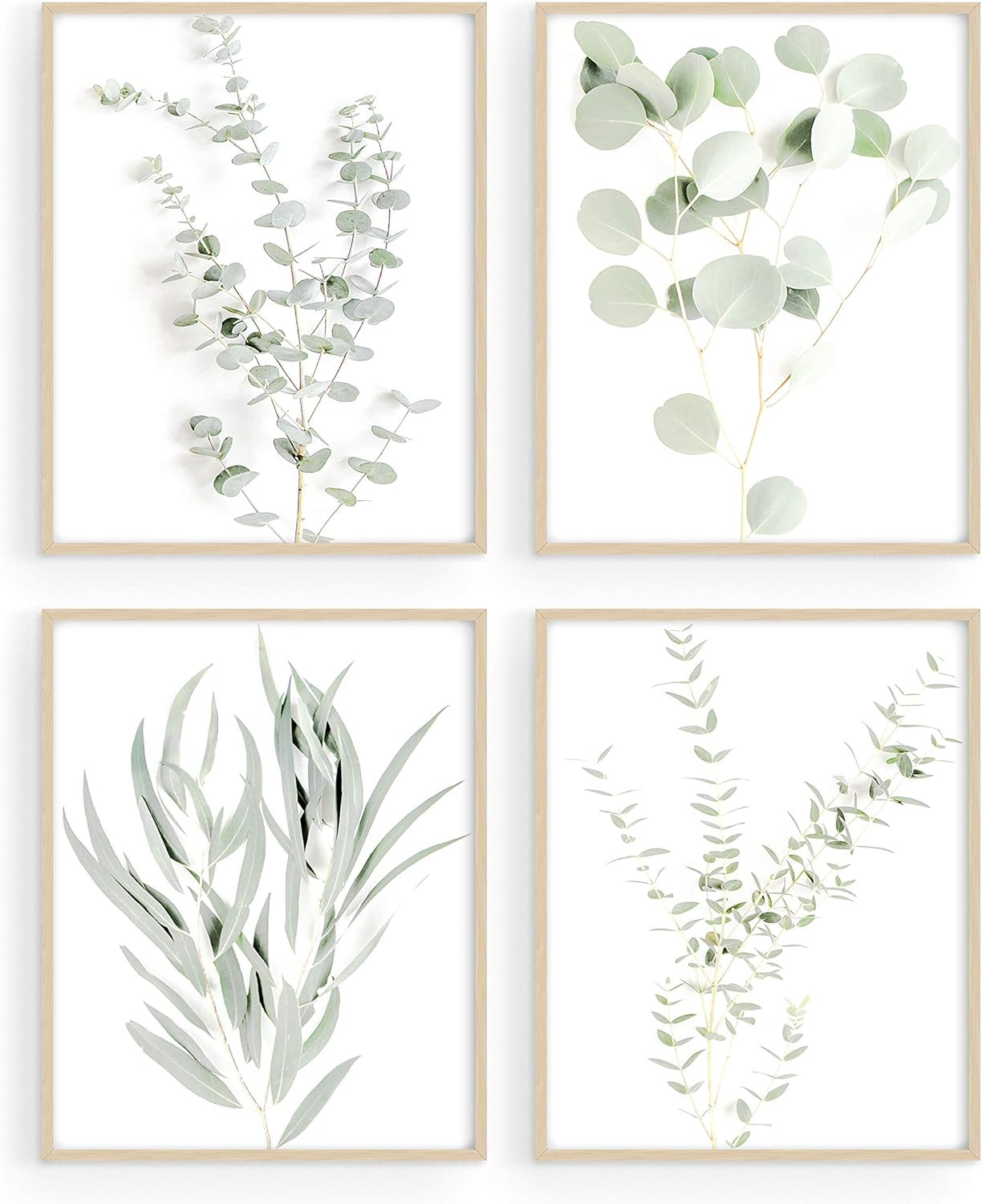 Haus and Hues Botanical Plant Wall Art Prints - Set of 4 Plant Wall Decor Pictures Minimalist Wal... | Amazon (US)