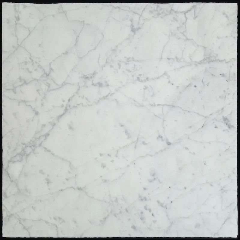 Reno 18" x 18" Marble Wall & Floor Tile | Wayfair North America