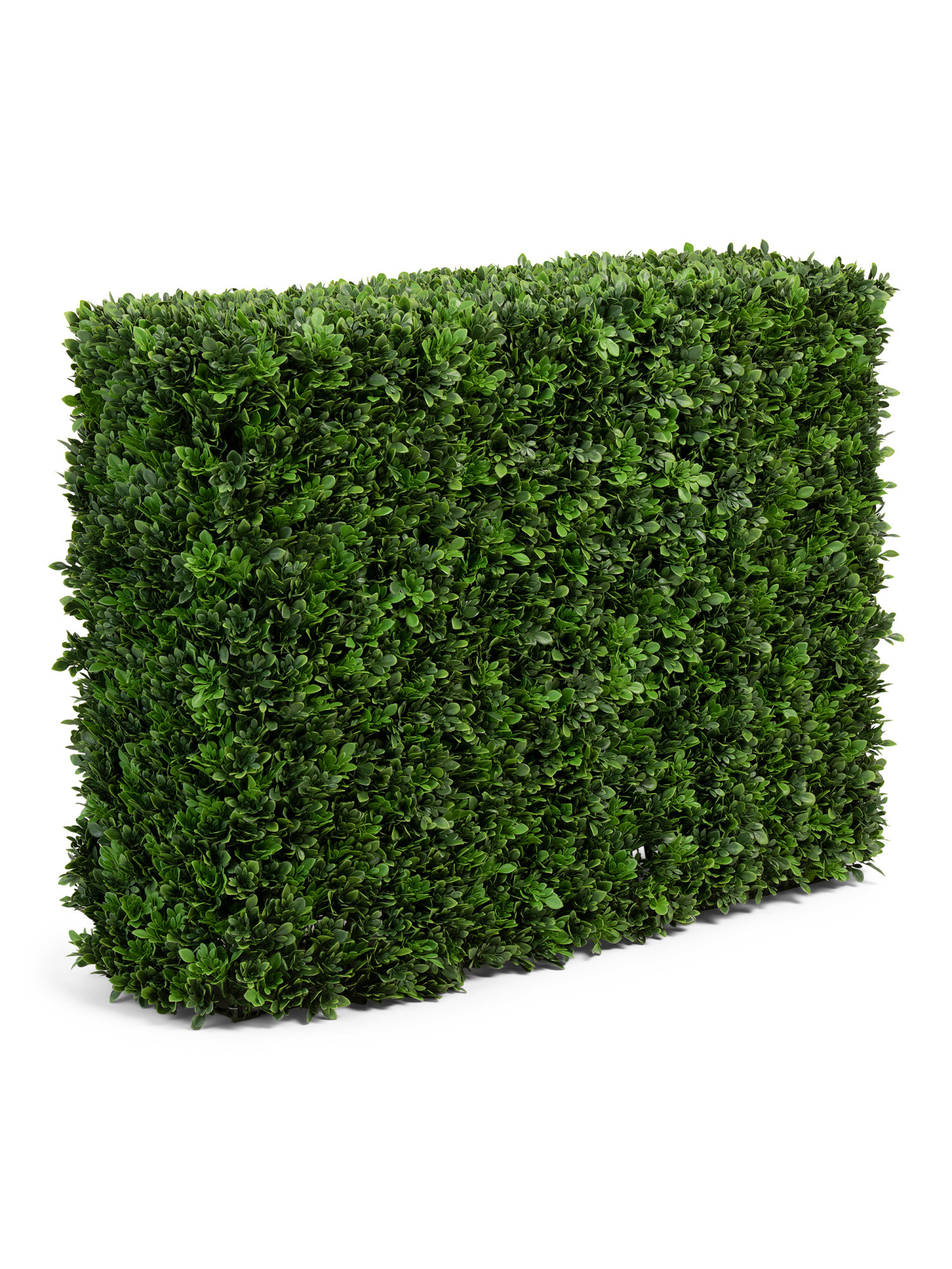 40x12x30 Uv Resistant Outdoor Blooming Boxwood Hedge | Home Essentials | Marshalls | Marshalls