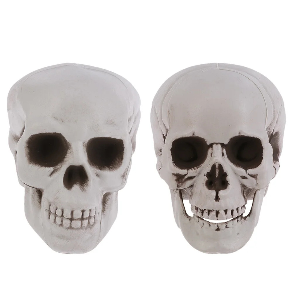 Hemoton 2Pcs Halloween Skulls Realistic Skull Models Human Skeleton Heads Decor | Walmart (US)