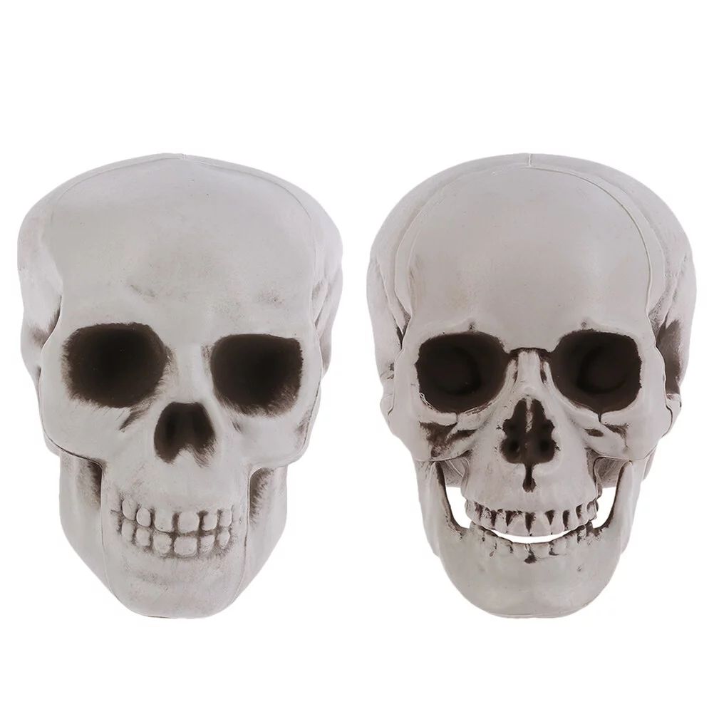 Hemoton 2Pcs Halloween Skulls Realistic Skull Models Human Skeleton Heads Decor | Walmart (US)