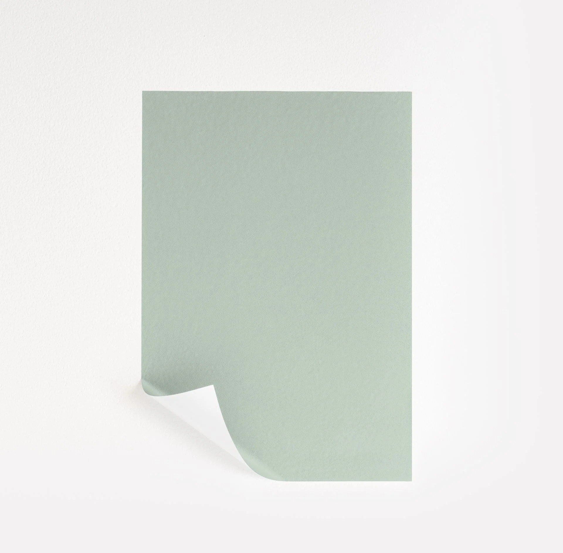 Slow Green Paint Sample by Sherwin-Williams (6456) | Peel & Stick Paint Sample | Samplize