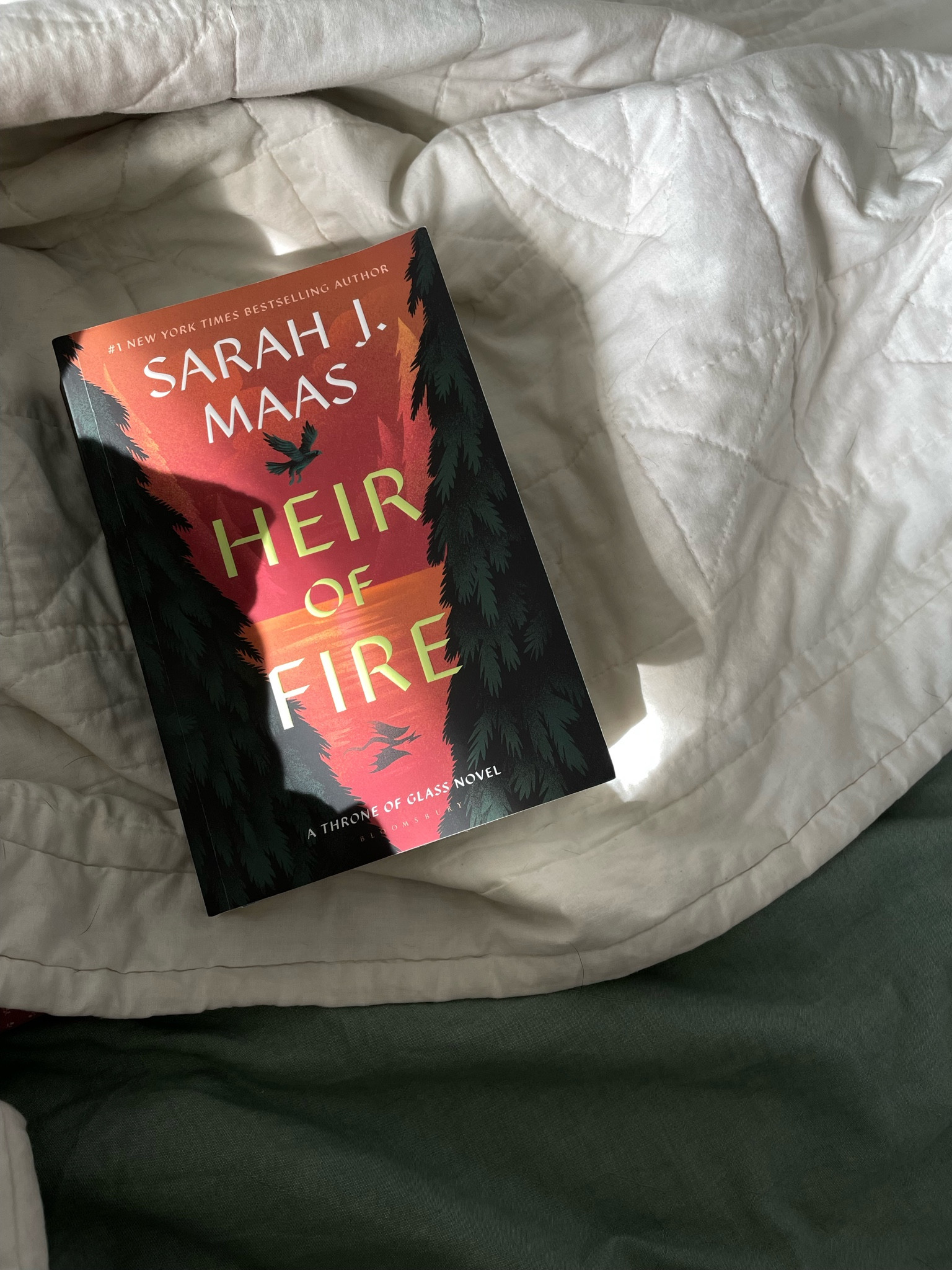 LOVED this one! Super into the how to train your dragon and witchy vibes in this book. Will be immediately reading the next. 

Book club | reading recommendations 

#LTKSeasonal #LTKGiftGuide