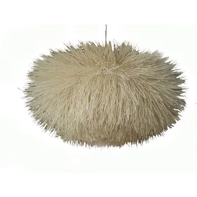 Urchin 1-Light Globe Pendant | Wayfair North America