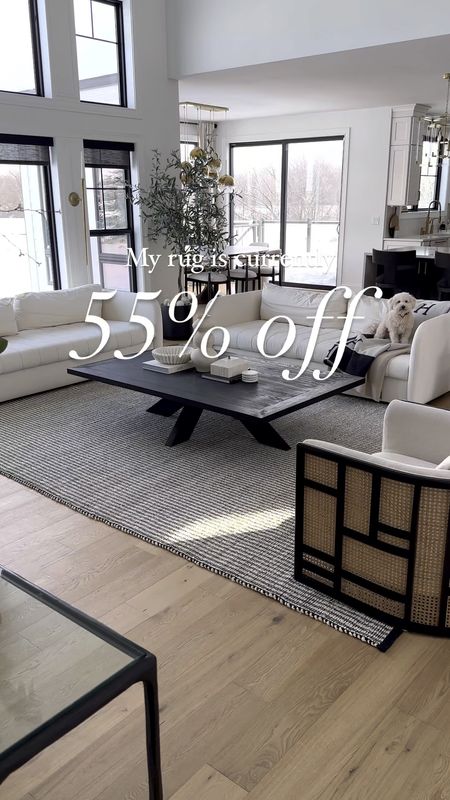 
My rug is 9x12 and on sale today for $600! 


Family room, black and ivory rug living room home decor jute rug coffee table 

#LTKSaleAlert #LTKStyleTip #LTKHome