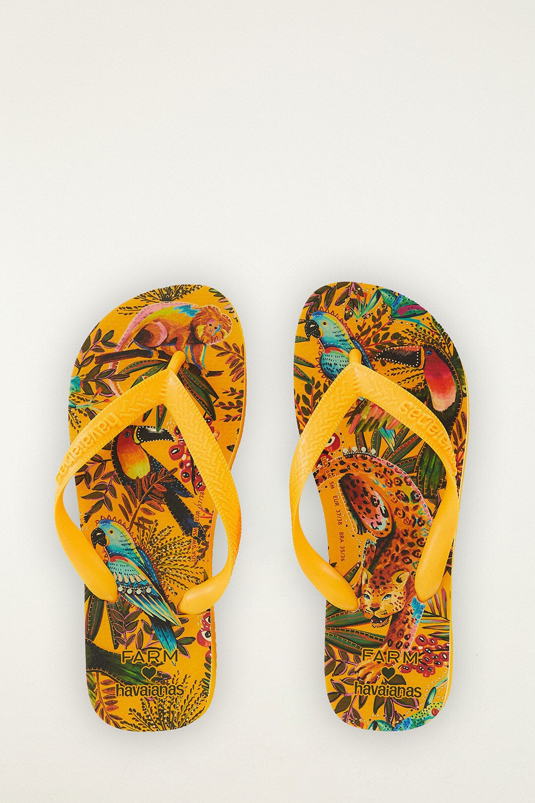 Into The Jungle Havaianas, INTO THE JUNGLE / 11-12 | FarmRio (US)