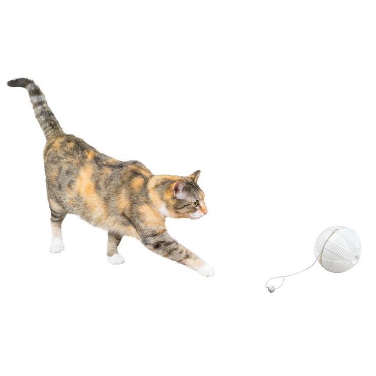 Premier Pet Automatic Ball of Yarn Cat Toy - White | Target