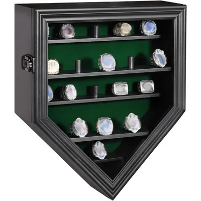 Championship Ring Display Case | Wayfair North America