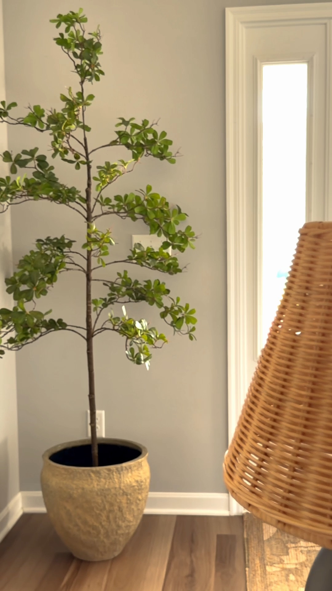 A shady lady tree + a rustic planter brought instant charm to our entryway — because this little corner needed some love too.

Entryway, foyer, corner styling, faux tree, planter, console styling, home decor, home styling, home interiors, Amazon finds, Wayfair finds, summer styling, farmhouse style, vintage inspired finds, cottage charm, cozy home finds

#LTKHome #LTKSeasonal