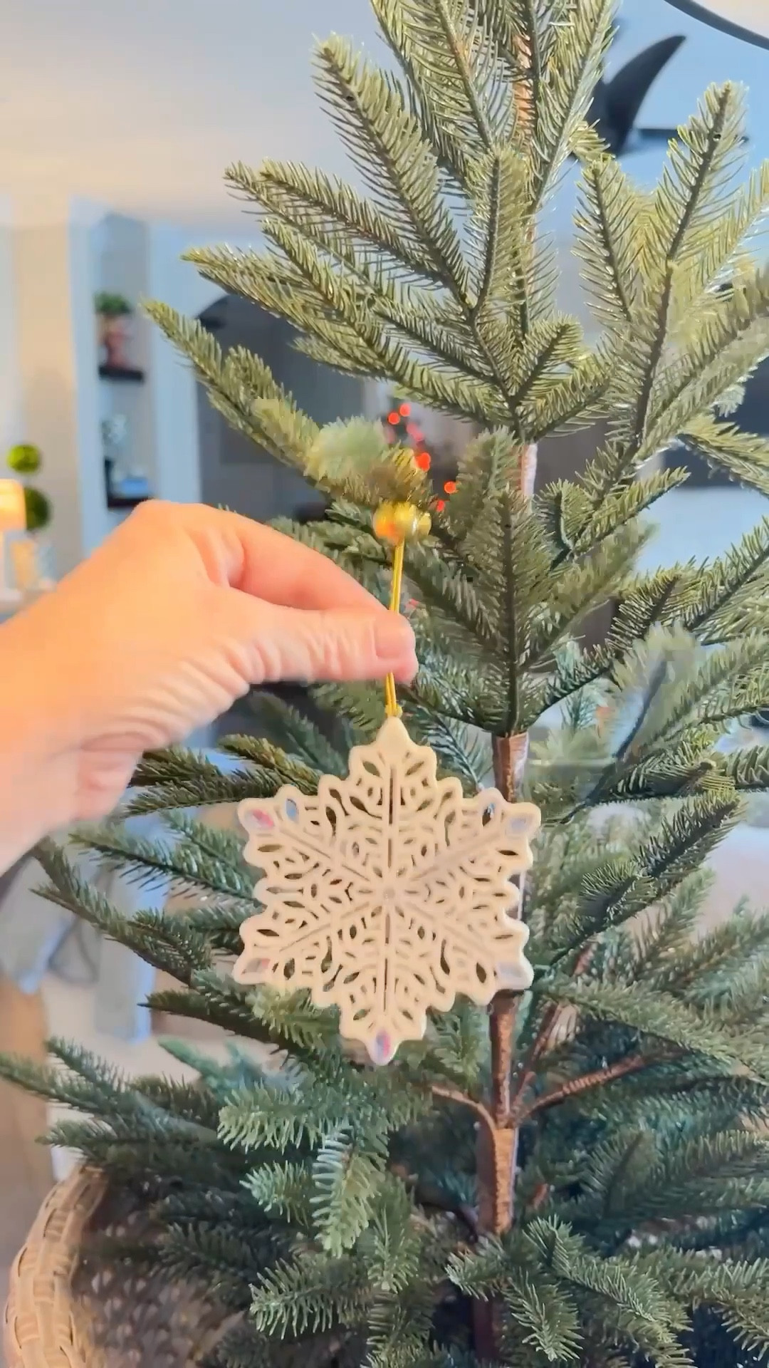 if you have precious Christmas ornaments and you don’t want them broken, you need to get ornament anchors order them early. you will  be so glad you did. With pets and grandkids these are a must. #ornamentanchors #ornaments #treetrimming

#LTKVideo #LTKSeasonal #LTKHoliday