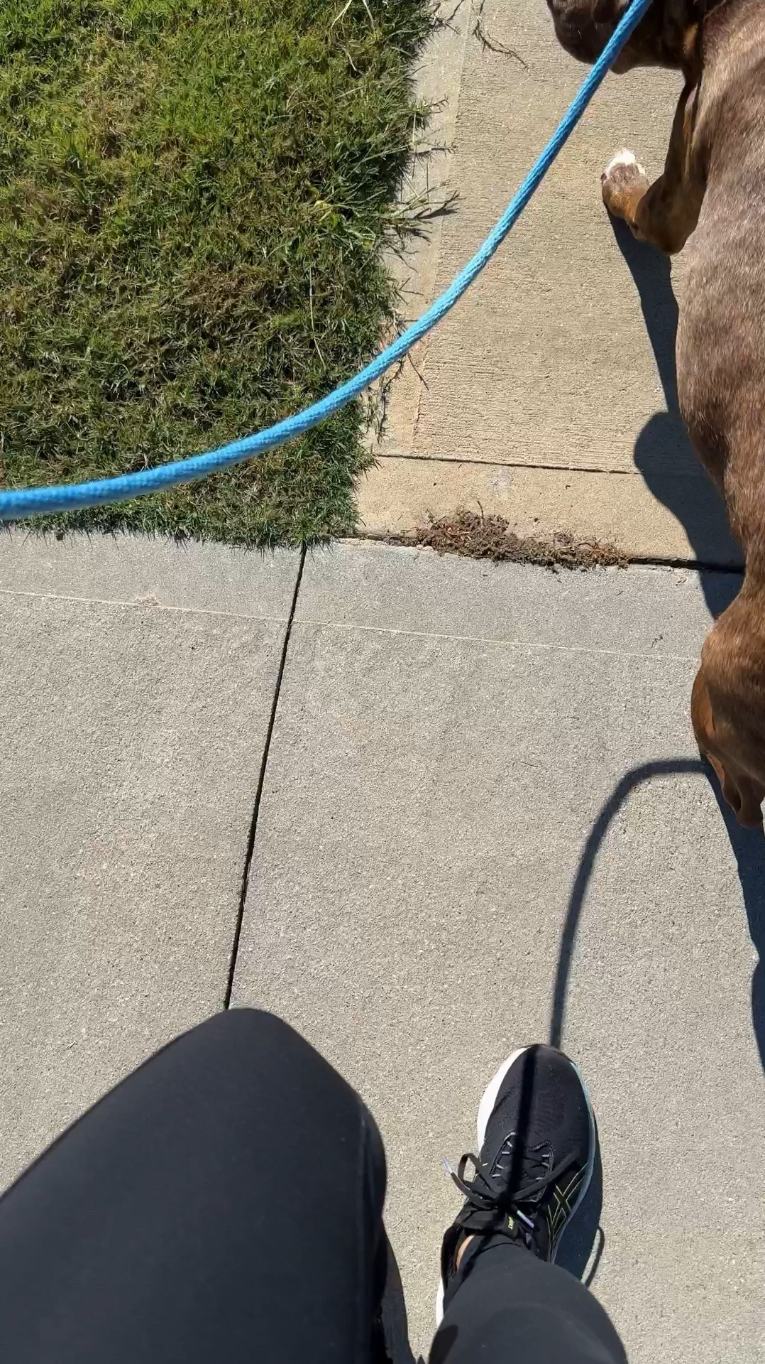 Day 2 of 31 #keepitmoving

Outdoor walk with Koda Woda like old times. It’s still hot but not July hot so I can’t complain lol

#LTKMidsize #LTKVideo #LTKActive