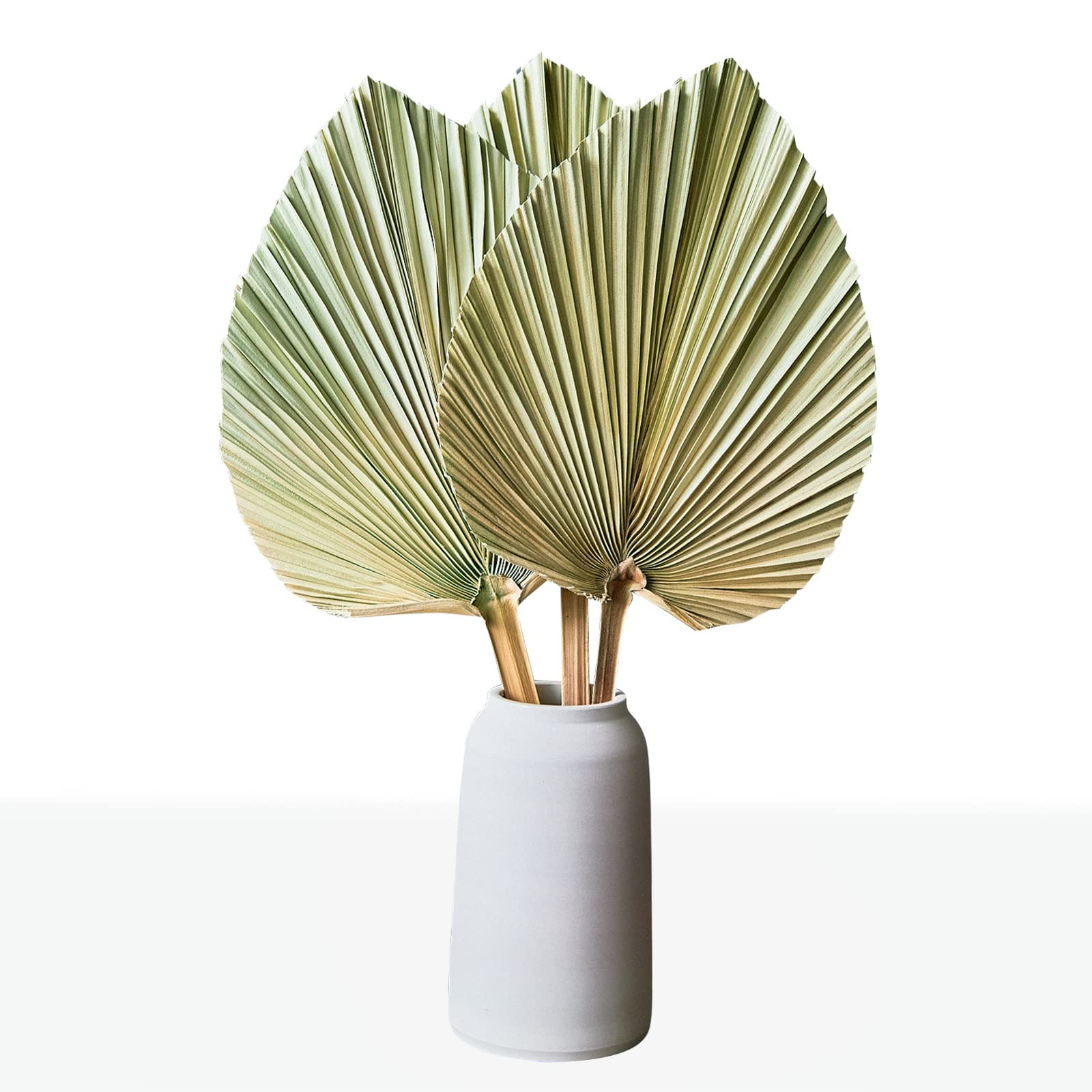Large Dried Palm Leaves | 3 Pieces 19.6" Large Artificial Palm Spears, DIY Boho Dried Flowers Decorations, Tropical Palm Leaves Decor for Wedding, Party, Home, Office, Art Wall, Fall Decor | Amazon (US)
