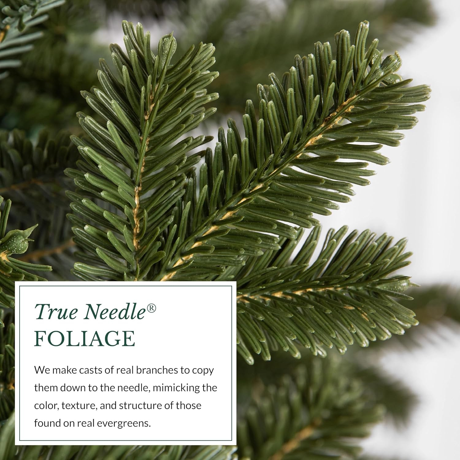 Balsam Hill BH Fraser Fir - Full Christmas Tree with Most Realistic True Needle Foliage, Easy Plu... | Amazon (US)