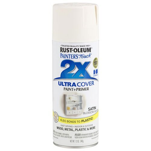 Rust-Oleum 249843 Painter's Touch 2X Ultra Cover, 12 Oz, Satin Blossom White, 12 Ounce | Amazon (US)
