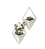 Umbra Trigg Hanging Planter Vase & Geometric Wall Decor Containers-for Succulents, Air, Mini Cactus, | Amazon (US)