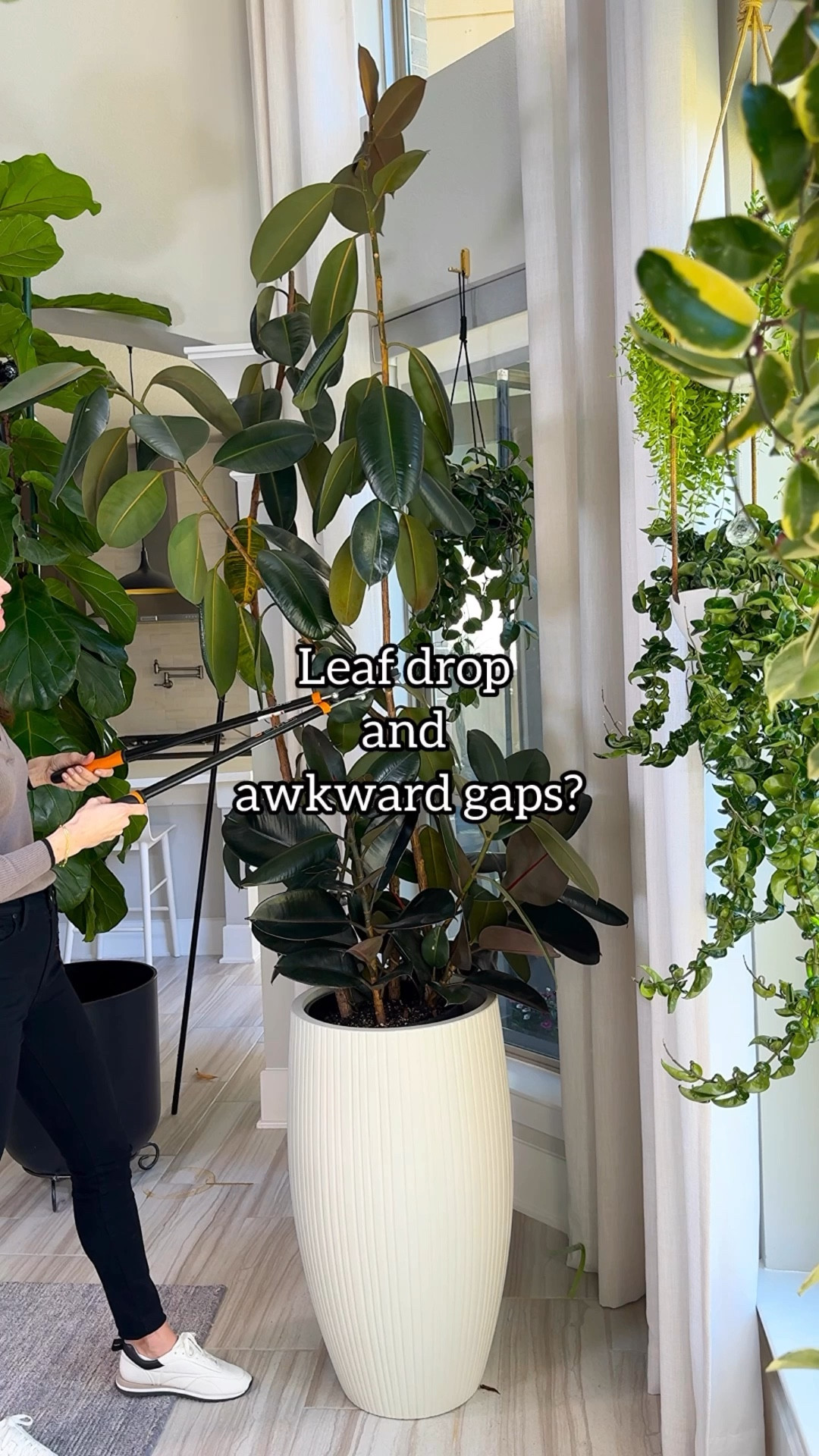 Leaf drop and awkward gaps don’t mean your plant is doomed.

It just means it’s decision time.

You can notch and encourage new growth…
or grab your loppers and reset the stem right above a node for a fuller comeback.

Sometimes growth requires a little courage. 🌱

Save this for your next prune day — and send it to the friend avoiding the chop. ✂️

#plantcare #houseplanthelp #plantmomlife #indoorplantcare #planttips

how to prune houseplants | what to do about bare stems | encourage new plant growth | notching vs pruning | fixing leggy plants

#LTKVideo #LTKActive #LTKSeasonal