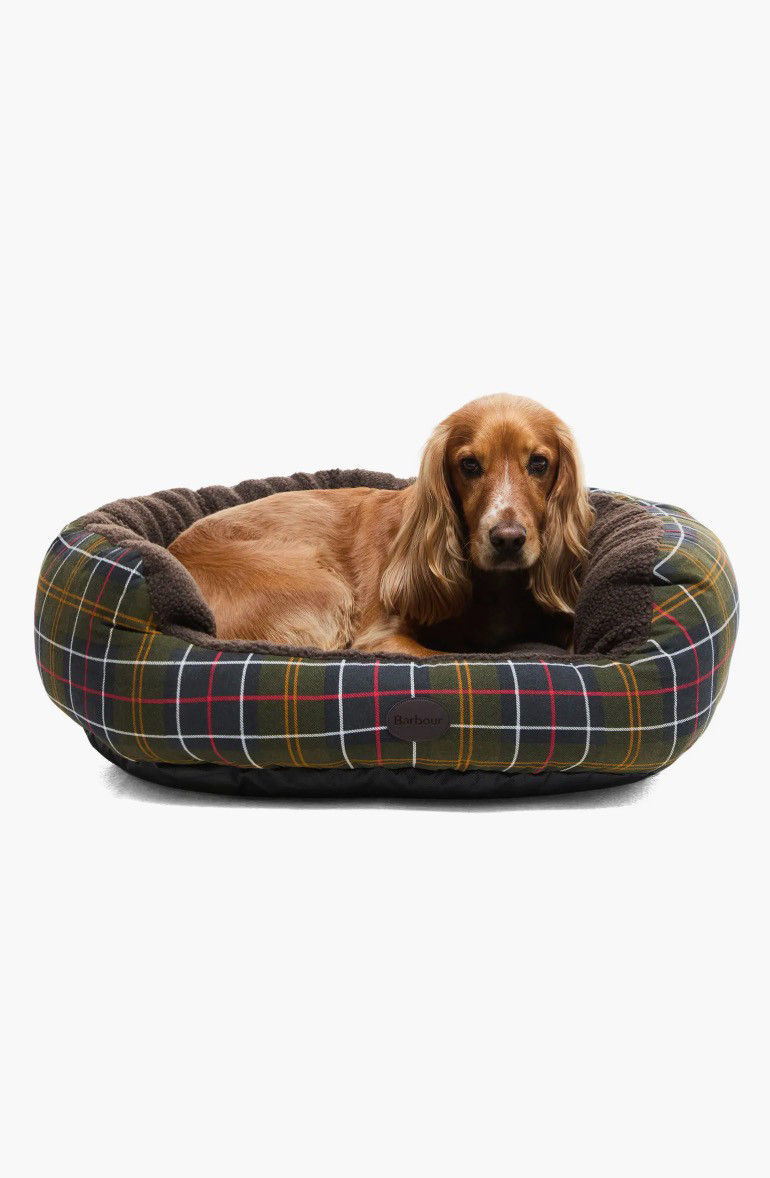 Pamper your furry friend (or the pet parent in your life) with these cozy and stylish picks from Nordstrom’s Pet Lover Collection 🐶🎄

✨ Featured Items:
• Tartan Snuggle 30" Dog Bed – soft, warm, and perfect for winter naps
• Bronco Dog Bandana – add a touch of festive charm for every walk
• Cuddly-Coat Grooming Shampoo – gentle formula for a shiny, healthy coat
• 4-in-1 Convertible Hands-Free Leash – smart design for effortless walks and adventures 

 #LTKGiftGuide #LTKHoliday #LTKHome