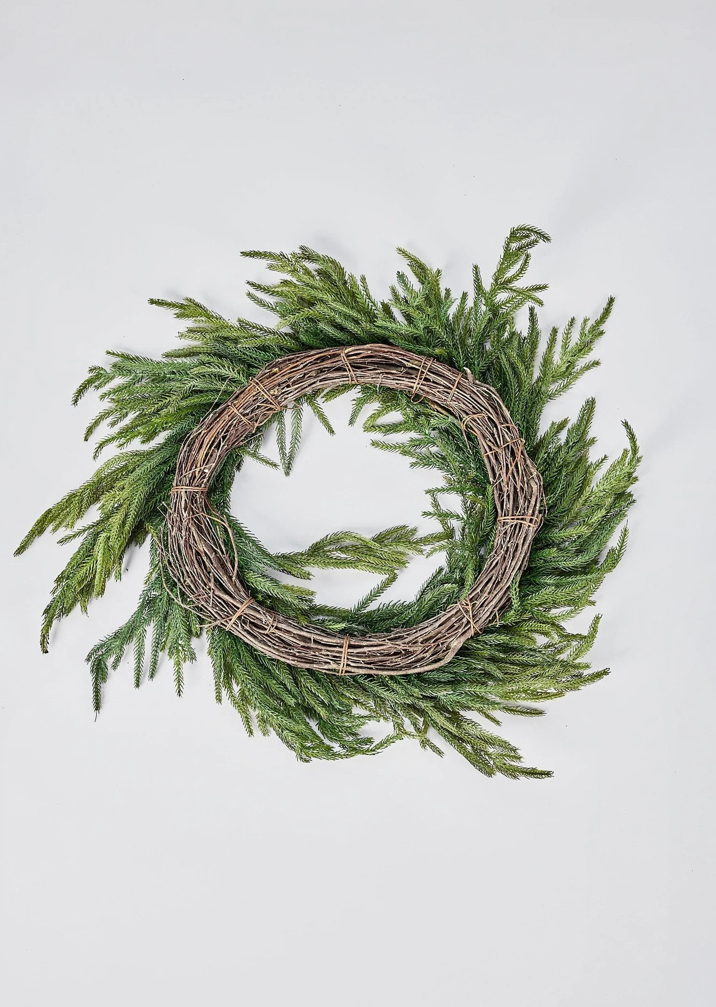 Real Touch Norfolk Pine Wreath | Afloral | Afloral