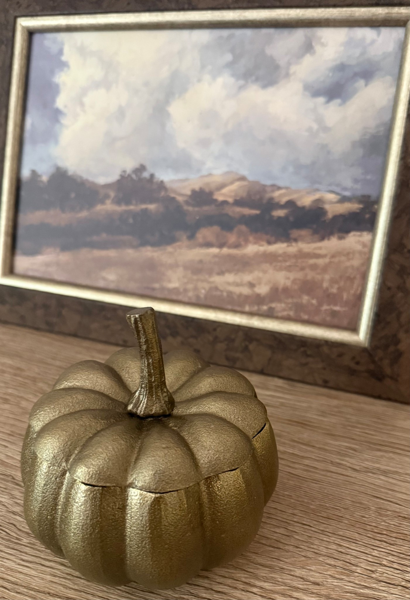 Viral home decor delivery! 📦 ✨
Love the season items, almost sold out! Here’s what’s left now, add to cart if it’s available 🛒 