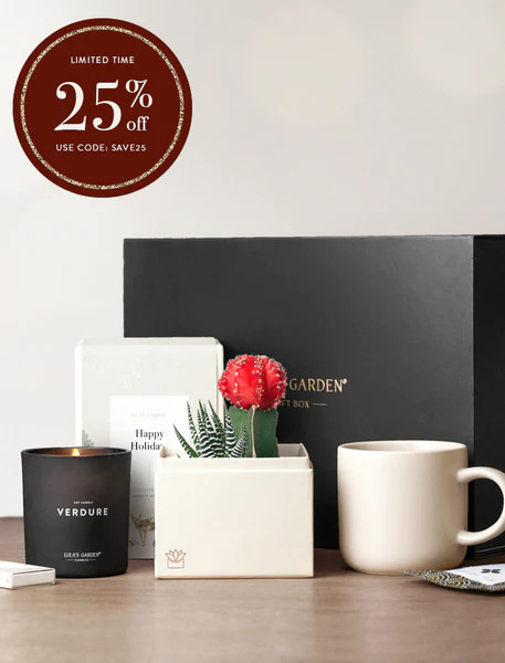 Holiday Joy Gift Set | Lula's Garden