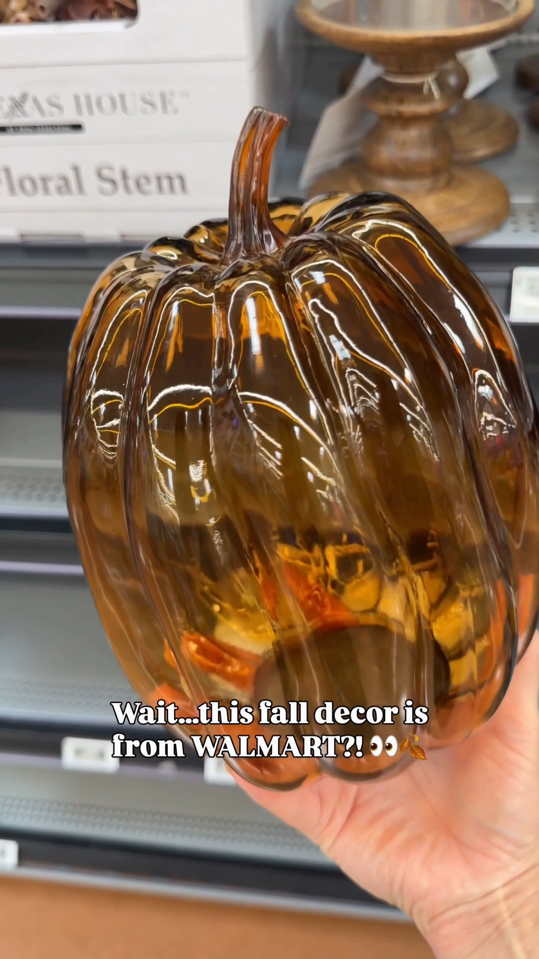 🍂 FALL FINDS are officially here and these are SO good!! 🤎 I found the prettiest affordable decor—from cozy neutrals to pumpkins + little touches that instantly make your home feel ready for fall. 😍

I linked all my favorites so you can shop them before the good ones disappear! 👀🍁

#LTKHome #LTKSeasonal #FallDecor #FallHome #AffordableDecor

#LTKHome #LTKSeasonal