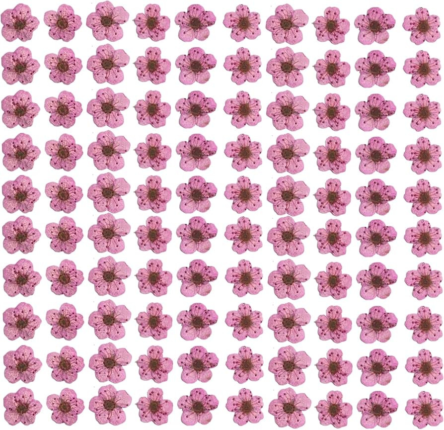 YUNZHI Pressed Flower for Resin Small Plum Blossom Narcissus, Dried Flower, Real Flower, Nail Flo... | Amazon (US)