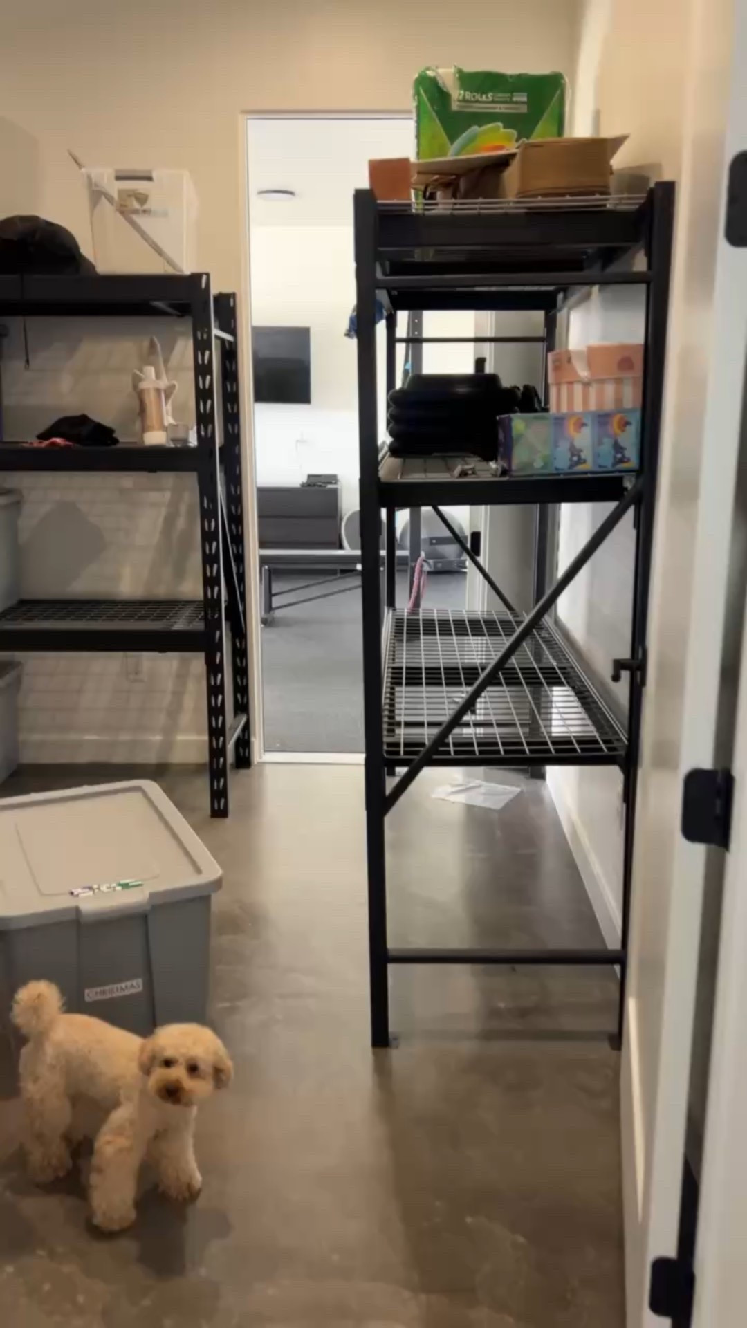 the best storage bins! 

#LTKmomlife #LTKHome #LTKSeasonal