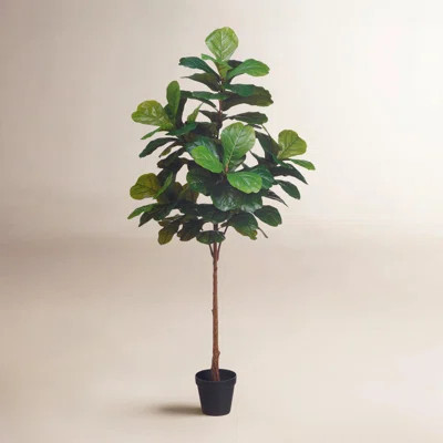 Elspeth Fiddle Leaf Fig Tree Drop-In | Wayfair North America