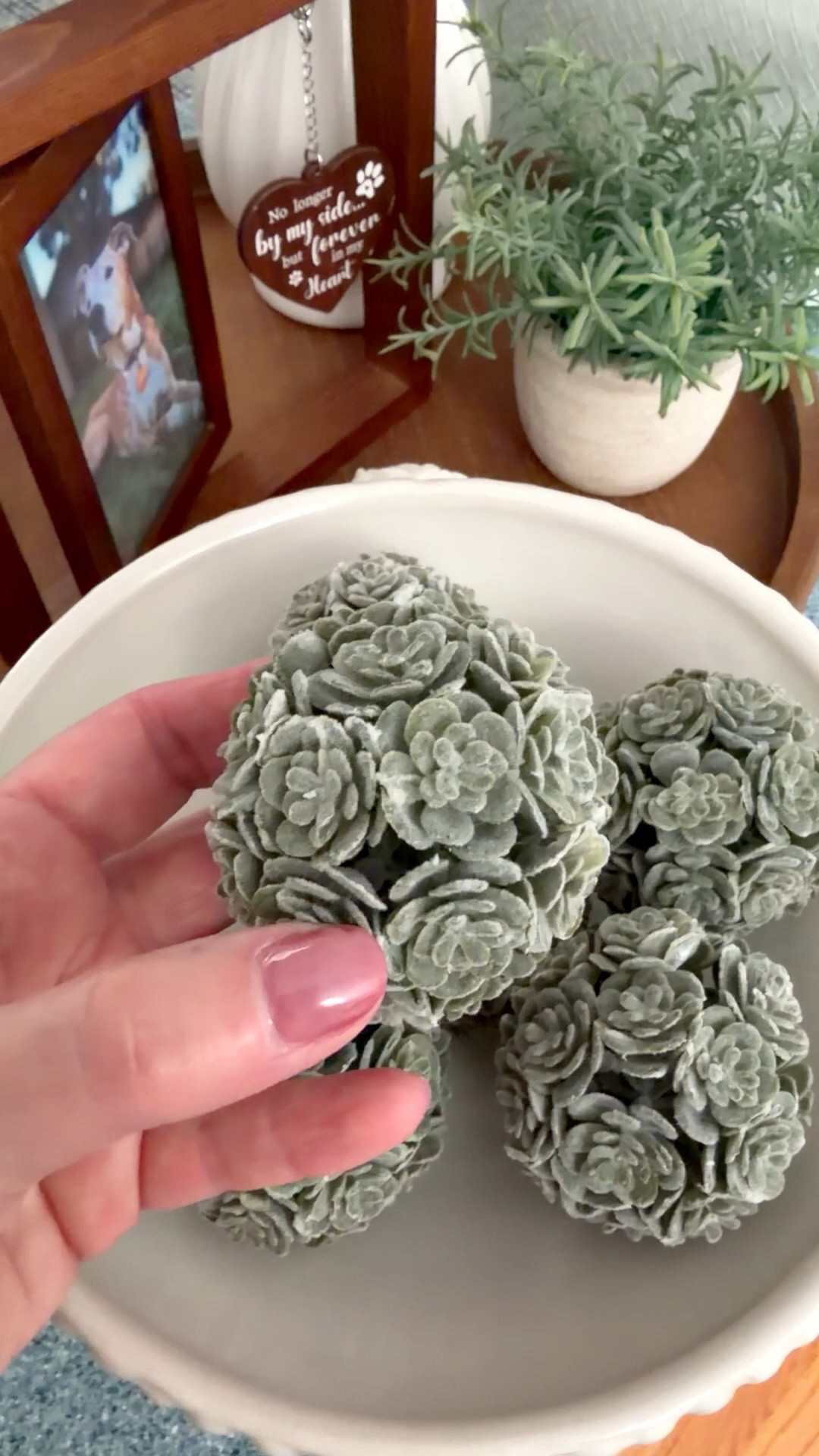 I have been looking for something green to fill this pedestal bowl. Finally found what I was looking for. These are 2.25 inches and look like succulents. They are made of plastic  

#LTKHome