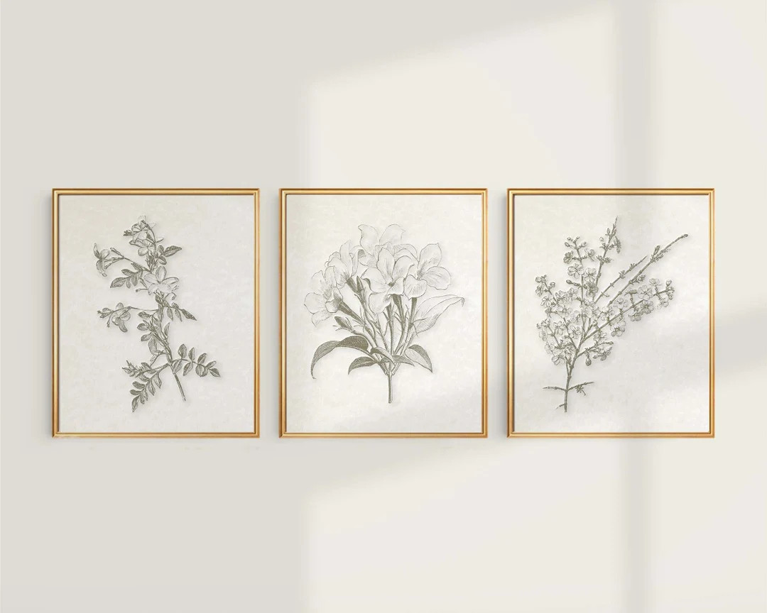 Sepia Jasmine Botanical Prints: Vintage Farmhouse Wall Art, Set of 3 | Etsy (US)