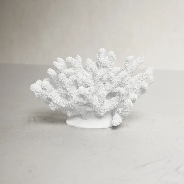 Kosta Coral Decor Sculpture | Wayfair North America